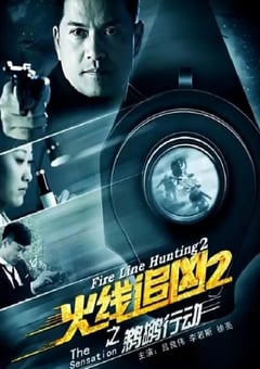 2013年国产经典动作片《火线追凶2之鹈鹕行动》HD国语中字 [迅雷BT磁力免费下载]