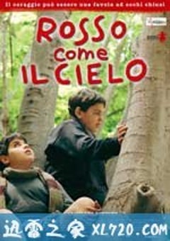 听见天堂 Rosso come il cielo (2006) [迅雷BT磁力免费下载]