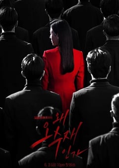 2022年韩国电视剧《为何是吴秀在》全16集 [迅雷BT磁力免费下载]