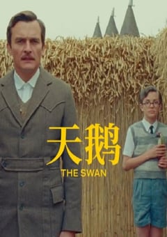 2023年美国喜剧片《天鹅》BD中英双字 [迅雷BT磁力免费下载]