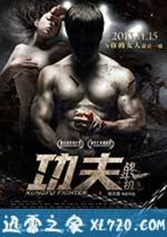 功夫战斗机 (2013) [迅雷BT磁力免费下载]