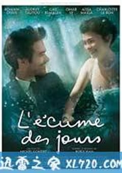 泡沫人生 L’écume des jours (2013) [迅雷BT磁力免费下载]