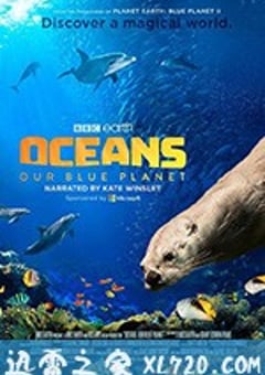 海洋：我们的蓝色星球 Oceans: Our Blue Planet (2018) [迅雷BT磁力免费下载]