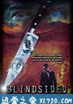 盲眼杀机 Blindsided (2017) [迅雷BT磁力免费下载]