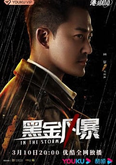 2022年国产大陆电视剧《黑金风暴》连载至26 [迅雷BT磁力免费下载]