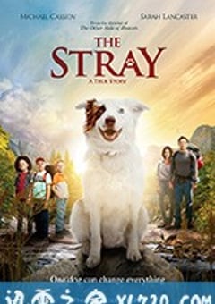 流浪狗 The Stray (2017) [迅雷BT磁力免费下载]