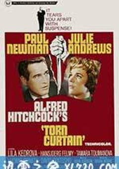 冲破铁幕 Torn Curtain (1966) [迅雷BT磁力免费下载]