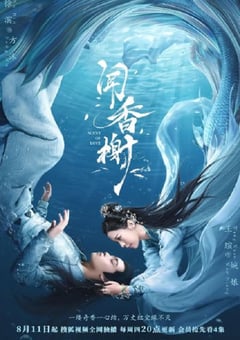 2022年国产大陆电视剧《闻香榭》全14集 [迅雷BT磁力免费下载]
