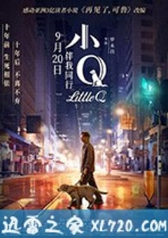 小Q (2019) [迅雷BT磁力免费下载]