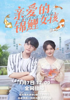 2022年国产大陆电视剧《亲爱的锦鲤女孩》全24集 [迅雷BT磁力免费下载]
