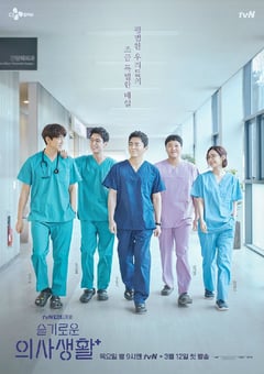 2020年韩国日韩剧《机智的医生生活》全12集 [迅雷BT磁力免费下载]