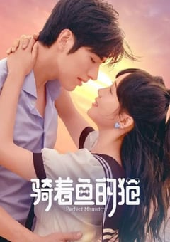 2023年国产大陆电视剧《骑着鱼的猫》全24集 [迅雷BT磁力免费下载]