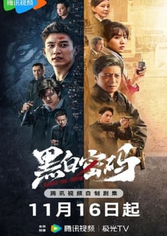 2023年国产大陆电视剧《黑白密码》全24集 [迅雷BT磁力免费下载]