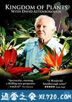 植物王国 Kingdom of Plants 3D (2012) [迅雷BT磁力免费下载]