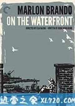 2025年美国电视剧《码头风云》全8集 [迅雷BT磁力免费下载]