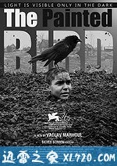 被涂污的鸟 Nabarvené ptáče (2019) [迅雷BT磁力免费下载]
