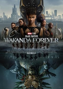 2022年美国6.3分动作科幻片《黑豹2》BD国英双语中英双字 [迅雷BT磁力免费下载]