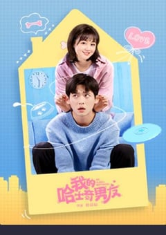 2021年国产大陆电视剧《我的哈士奇男友》全12集 [迅雷BT磁力免费下载]