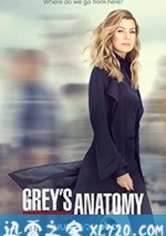 实习医生格蕾 第十六季 Grey’s Anatomy Season 16 (2019) [迅雷BT磁力免费下载]
