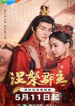 2024年国产大陆电视剧《涅槃郡主》全20集 [迅雷BT磁力免费下载]
