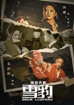 2021年国产动作战争片《雪豹之暗战天机》HD国语中字 [迅雷BT磁力免费下载]