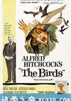 群鸟 The Birds (1963) [迅雷BT磁力免费下载]
