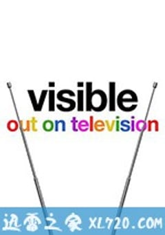 从暗到明：电视与彩虹史 Visible: Out on Television (2020) [迅雷BT磁力免费下载]