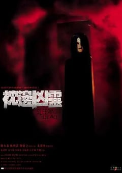 2002年中国香港经典恐怖片《枕边凶灵》HD国粤双语中字 [迅雷BT磁力免费下载]