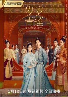 2023年国产大陆电视剧《岁岁青莲》全36集 [迅雷BT磁力免费下载]