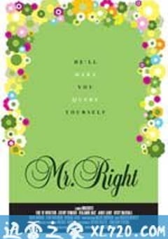 只爱意中人 Mr. Right (2009) [迅雷BT磁力免费下载]