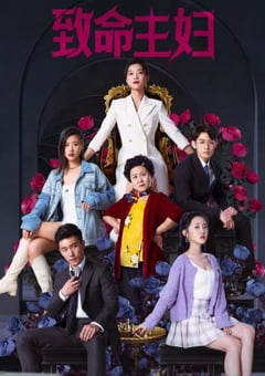 2022年国产大陆电视剧《致命主妇》全24集 [迅雷BT磁力免费下载]