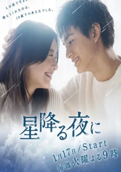2023年日本电视剧《于星降之夜》全9集 [迅雷BT磁力免费下载]