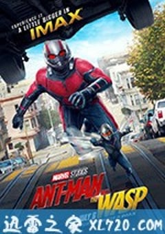 蚁人2：黄蜂女现身 Ant-Man and the Wasp (2018) [迅雷BT磁力免费下载]