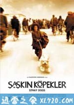 流浪狗 Sag-haye velgard (2004) [迅雷BT磁力免费下载]