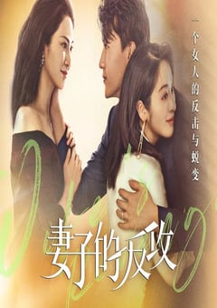 2021年国产大陆电视剧《妻子的反攻》全24集 [迅雷BT磁力免费下载]