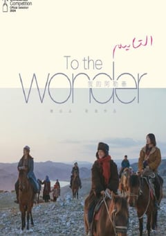 2024年国产大陆电视剧《我的阿勒泰》全08集 [迅雷BT磁力免费下载]