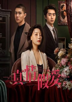 2023年国产大陆电视剧《真情假爱》全24集 [迅雷BT磁力免费下载]