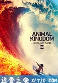 野兽家族 第四季 Animal Kingdom Season 4 (2019) [迅雷BT磁力免费下载]