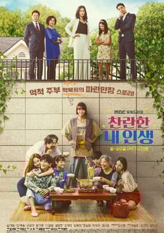 2020年韩国日韩剧《我的灿烂人生》连载97 [迅雷BT磁力免费下载]