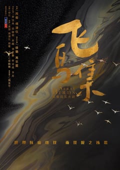 2021年国产大陆电视剧《飞鸟集》全40集 [迅雷BT磁力免费下载]