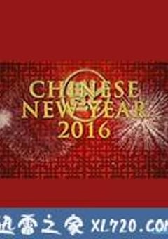 中国新年：全球最大庆典 Chinese New Year: The Biggest Celebration on Earth (2016) [迅雷BT磁力免费下载]