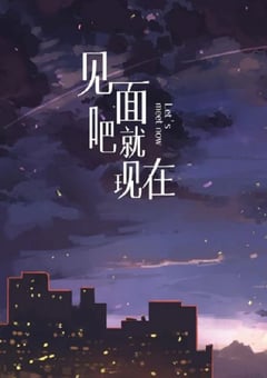 2022年国产大陆电视剧《见面吧就现在》全20集 [迅雷BT磁力免费下载]
