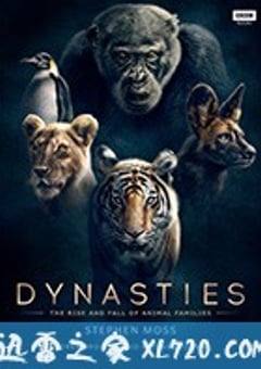 王朝 Dynasties (2018) [迅雷BT磁力免费下载]