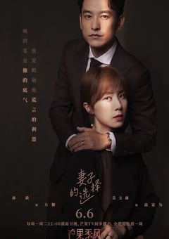 2022年国产大陆电视剧《妻子的选择》全12集 [迅雷BT磁力免费下载]
