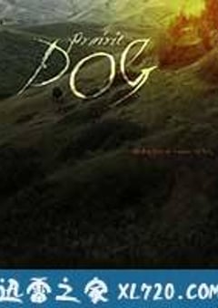 残暴 Prairie Dog (2015) [迅雷BT磁力免费下载]