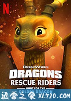 龙族：救援骑士：寻找黄金龙 Dragons: Rescue Riders: Hunt for the Golden Dragon (2020) [迅雷BT磁力免费下载]