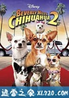 比佛利拜金狗2 Beverly Hills Chihuahua 2 (2011) [迅雷BT磁力免费下载]