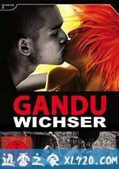 戆徒 Gandu (2010) [迅雷BT磁力免费下载]