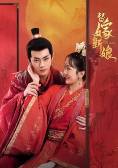 2023年国产大陆电视剧《替嫁新娘》全30集 [迅雷BT磁力免费下载]