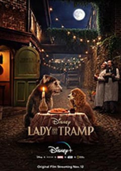 小姐与流浪汉 Lady and the Tramp (2019) [迅雷BT磁力免费下载]